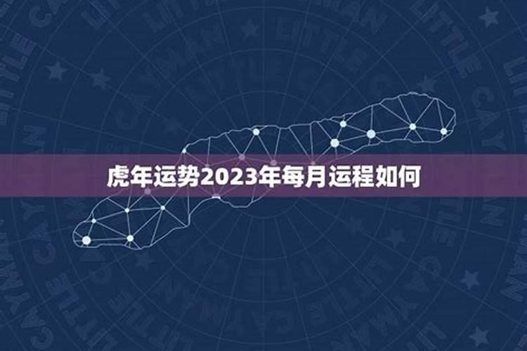 1982年狗2023感情运势如何