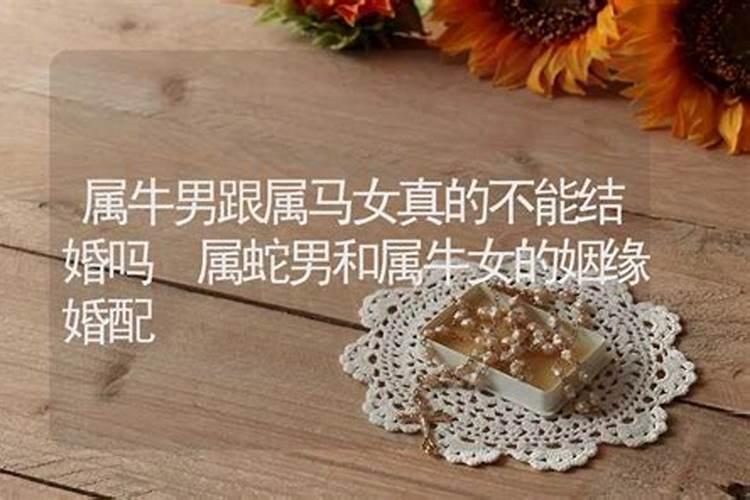 算命能拆别人姻缘吗