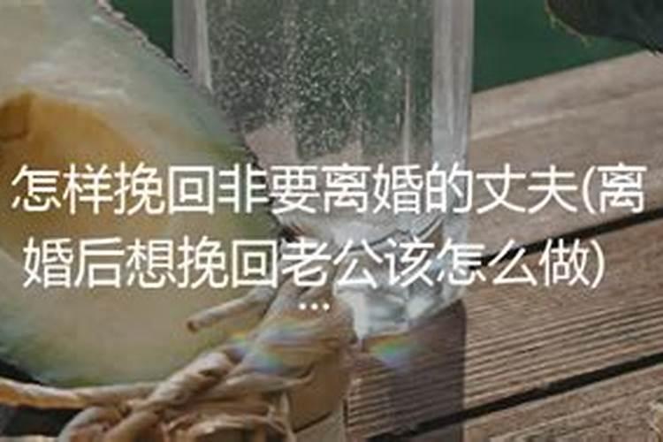 鬼谷子免费测八字算命