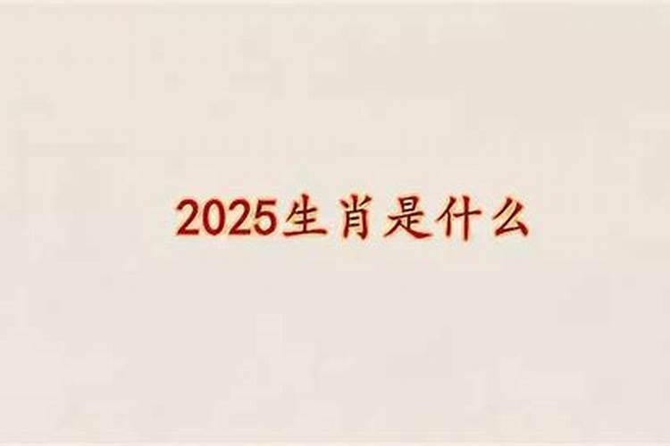 属牛人2o20年的运势