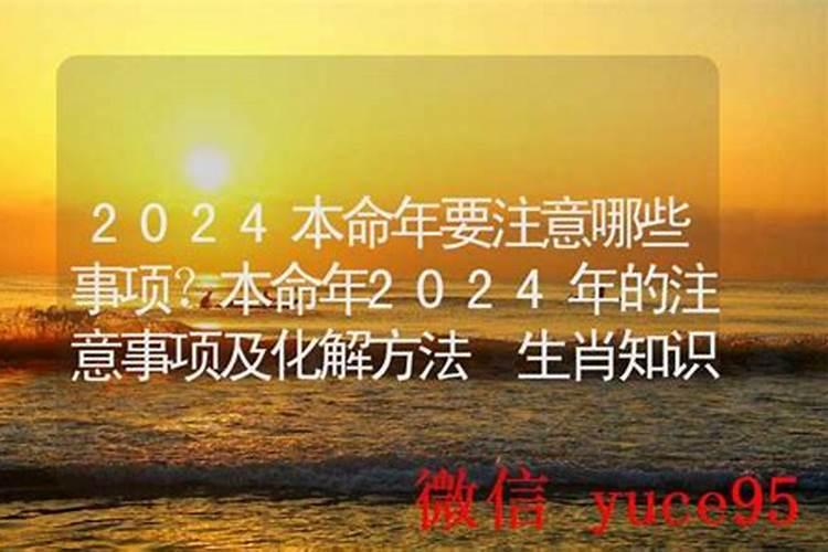 63年出生的兔在2021年命运