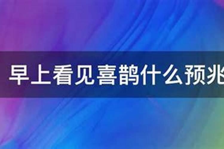 81年属鸡的11月份运程