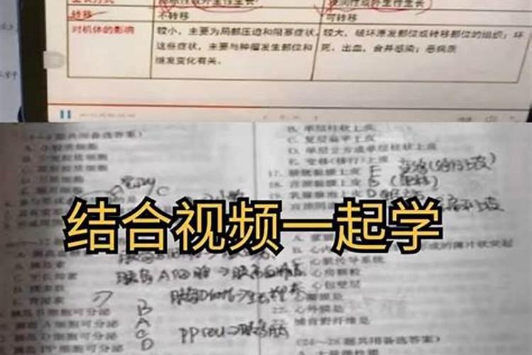 梦到老鼠乱窜是什么意思啊周公解梦