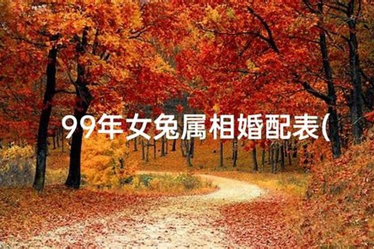 鼠人2023年运势婚姻