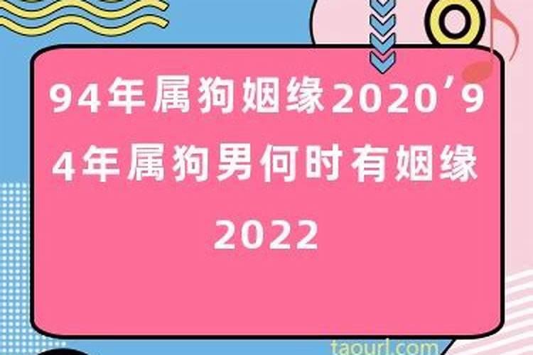 94年狗男2022年命运