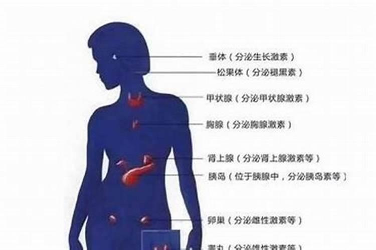 梦见死去人办丧事复活了