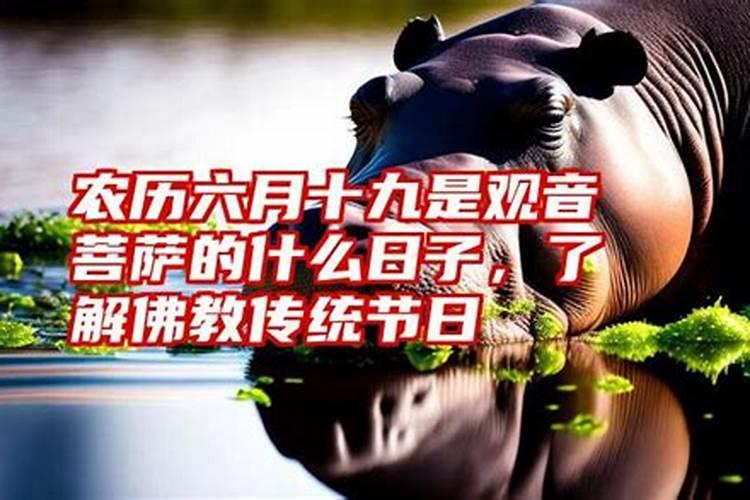 生肖羊相生相克的生肖