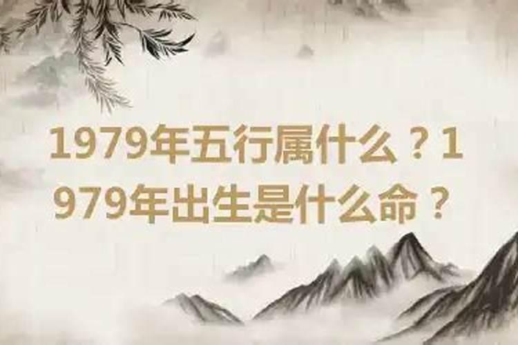 81年冬月属女鸡今年运势怎么样