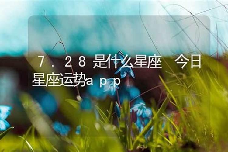 7.28是什么星座