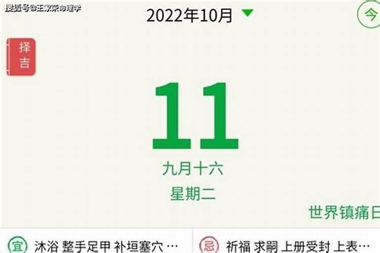 81年2022年运势如何