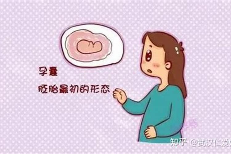 龙和马的属相婚配会幸福吗