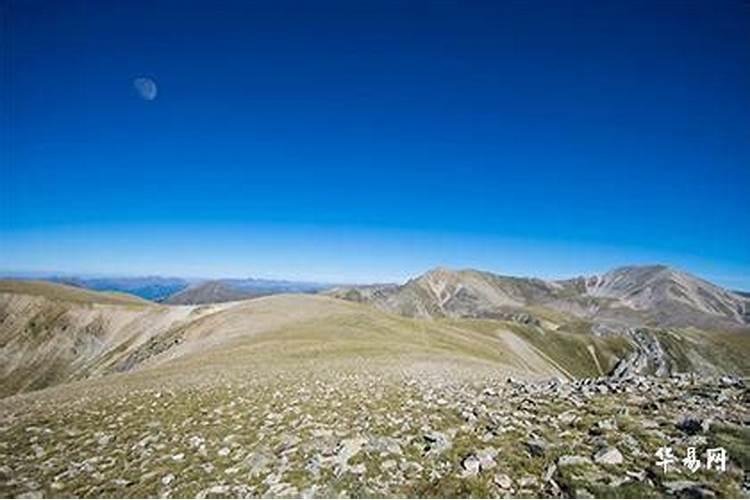 梦见涨洪水往高山爬