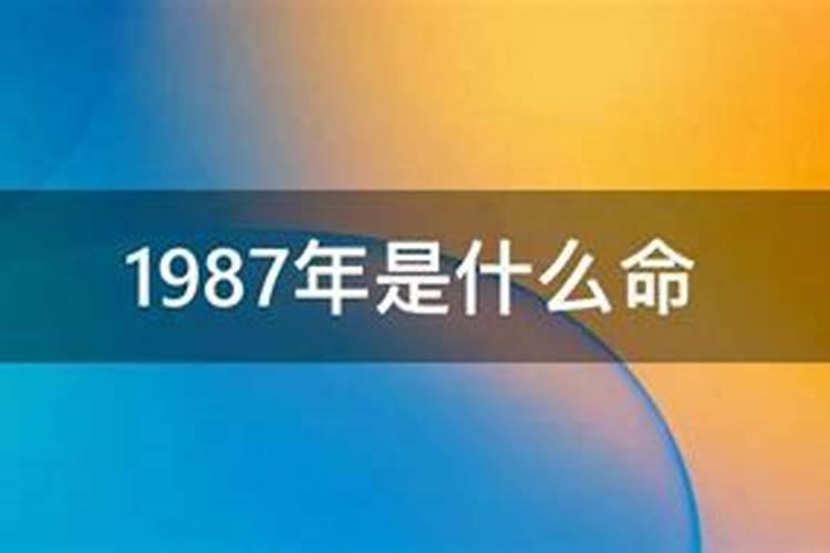 属猪人2021年运势运程1983