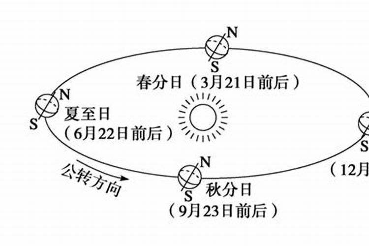 梦见老鼠和猫是一样大的动物