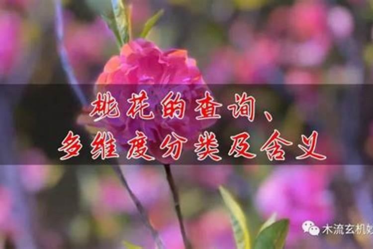 清明节是在哪个