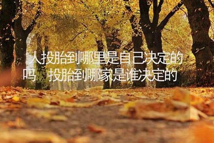 梦见别人生意红火自己生意不好