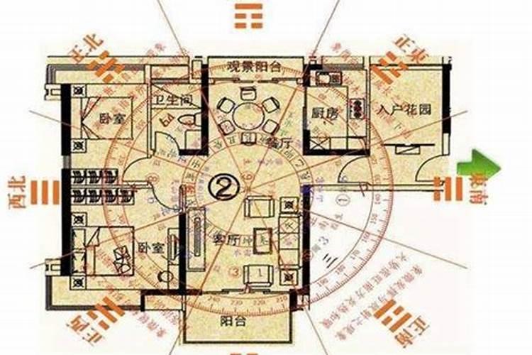 算命属兔2023年运程