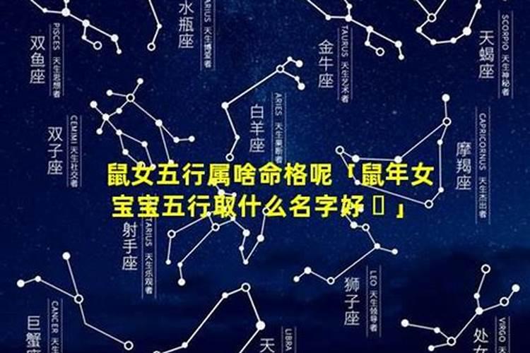 梦见白猫咬了自己孩子的脚什么意思