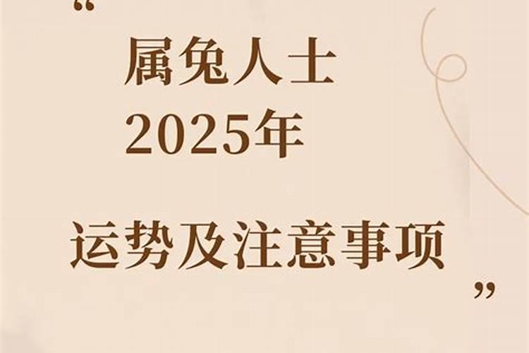 已婚女人梦见牛是什么预兆解梦