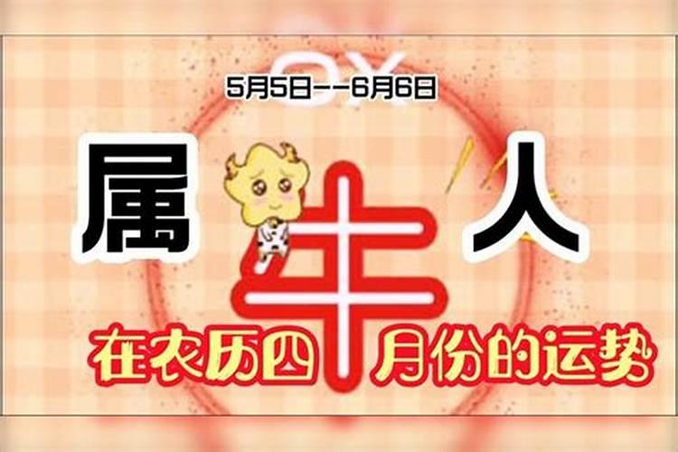 属牛4月运势如何