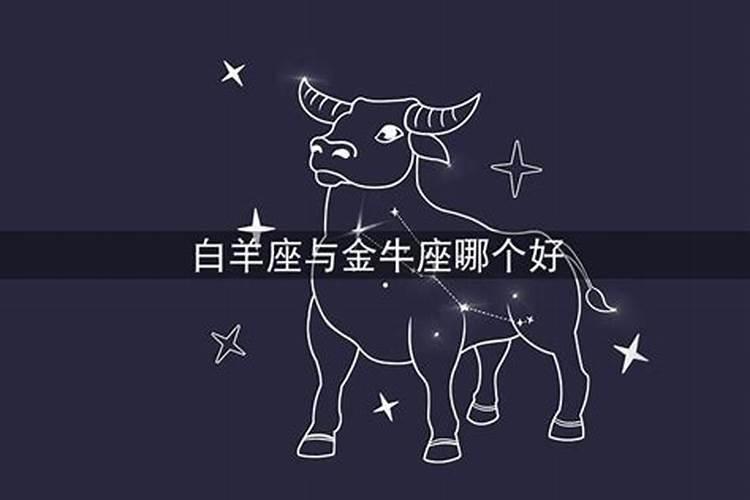 白羊座和金牛座哪个星座好