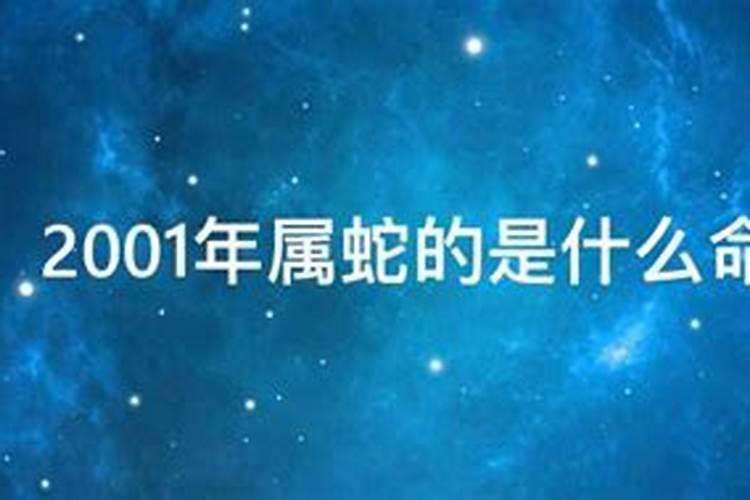 1987属兔人2024年运势及运程