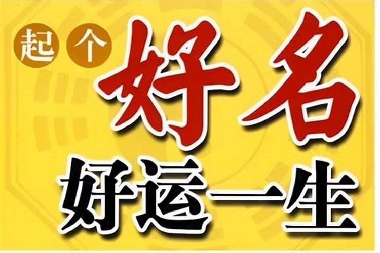 2006年属狗人一生