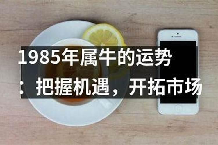 孕妇梦见兔子生一窝小兔子什么意思