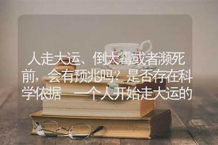 八字中六字相合代表什么意思