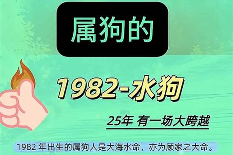 2021属牛的犯太岁应该戴什么首饰呢