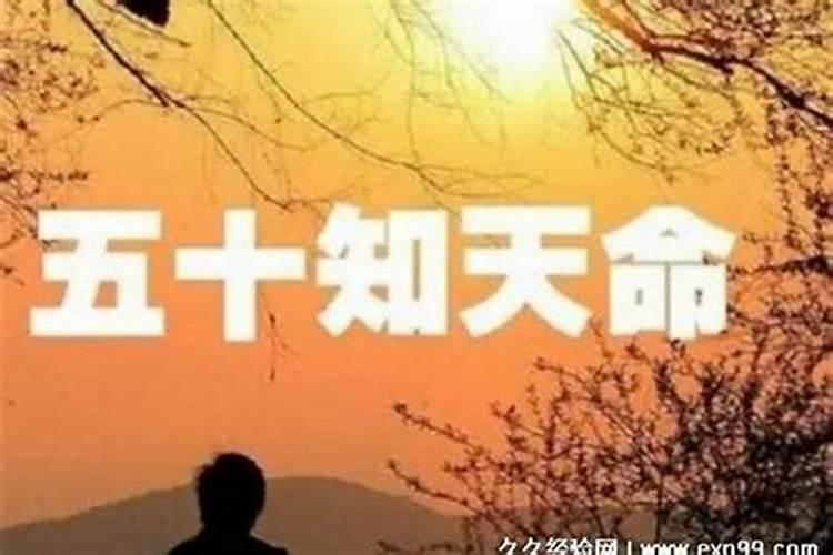 属猴的2022年犯太岁吗是什么命呢