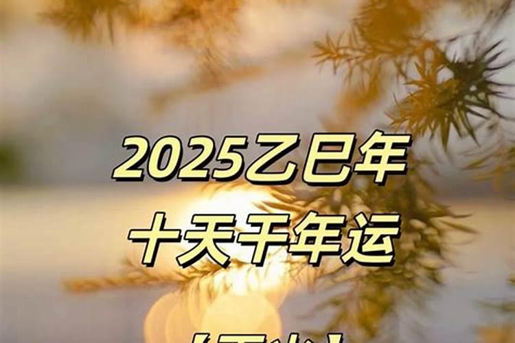 1986年的2023运势如何