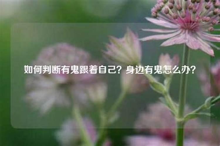 梦见吃药片是什么意思