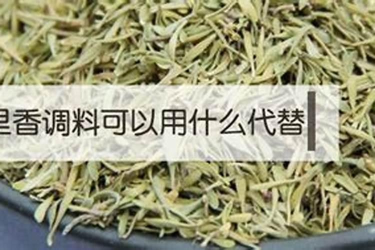 梦见自己的车冲进水里