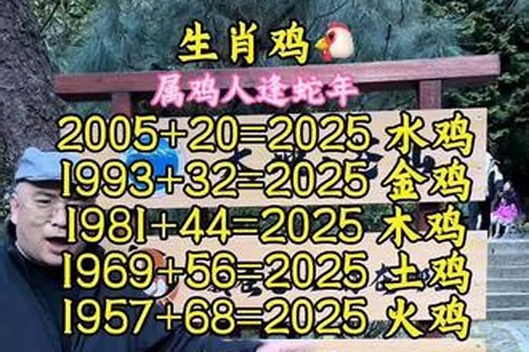 属鸡相冲相克相害属相