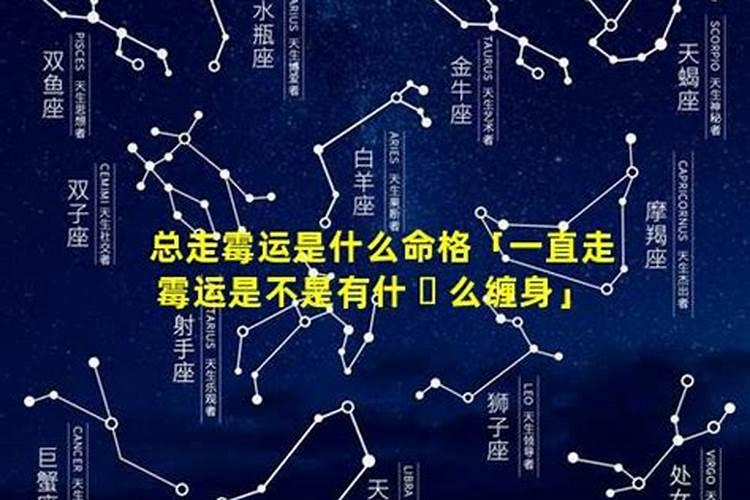 风水井19预测2024年运势