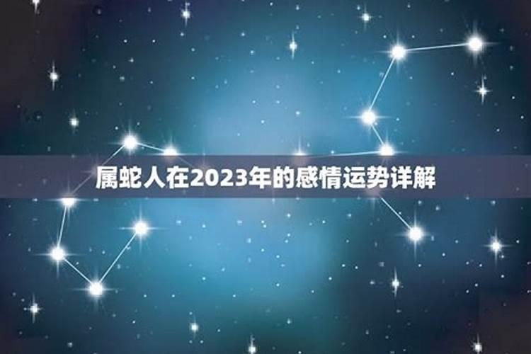 2023年运势猪生肖运势如何