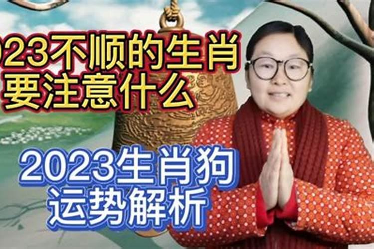 2023年倒霉的属相