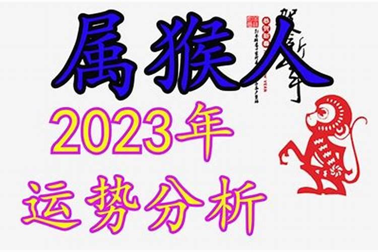 属猴人2023年财运