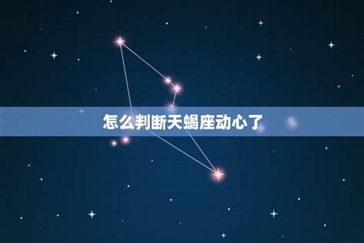 天蝎双子其实是绝配