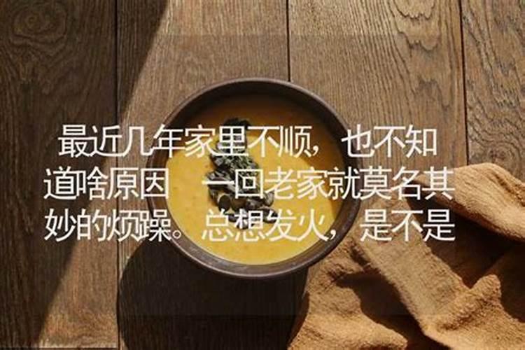 牛年属鼠人的运势和运程