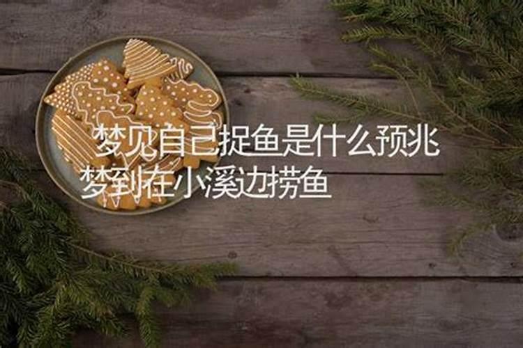 做梦梦见捉鱼什么意思周公解梦