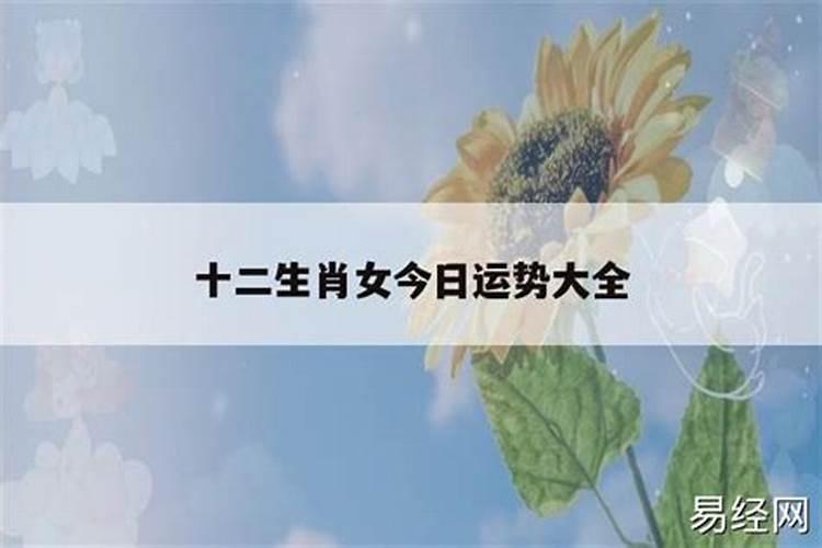 生肖鼠2024年逐月运势如何