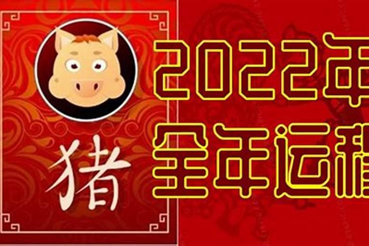 属猪2022年全年运势详解