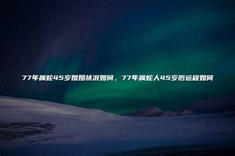 76年属龙人在2024年的运程