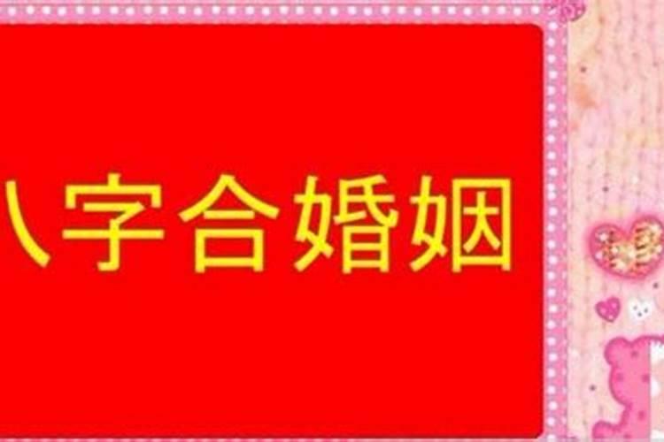 1991年属羊男一生运势如何样啊