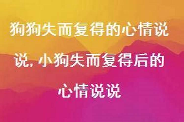 孕妇梦见两只小猫是什么意思周公解梦