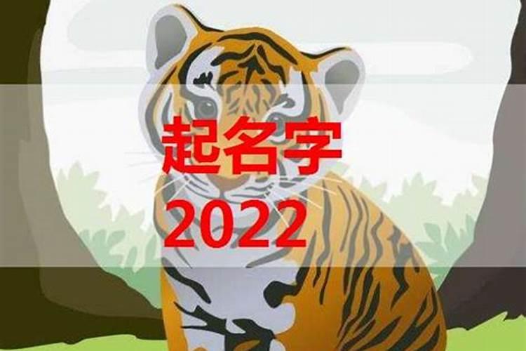 71属猪女2023年运势运程