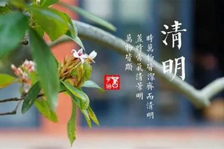 清明节祭祖一般在什么时间烧纸