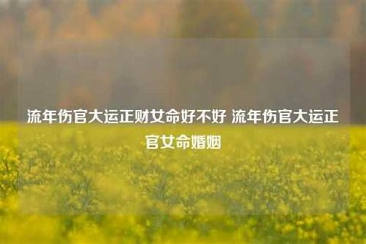 大运中伤官是什么意思